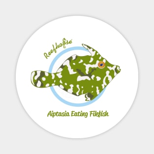 Aiptasia Eating Filefish Magnet